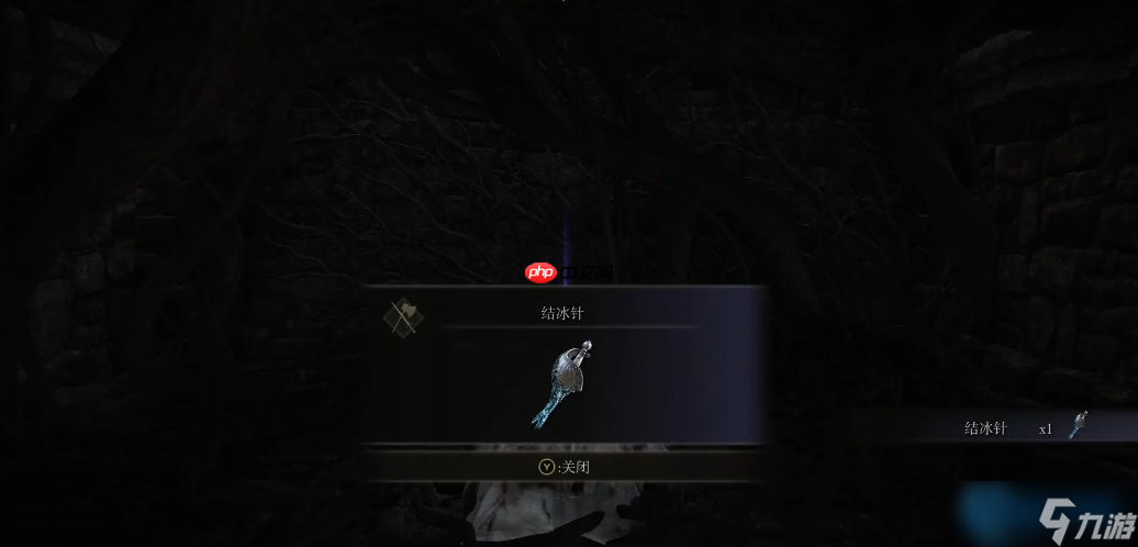 冰霜利刃：结冰针全攻略指南，轻松获取冻伤神器