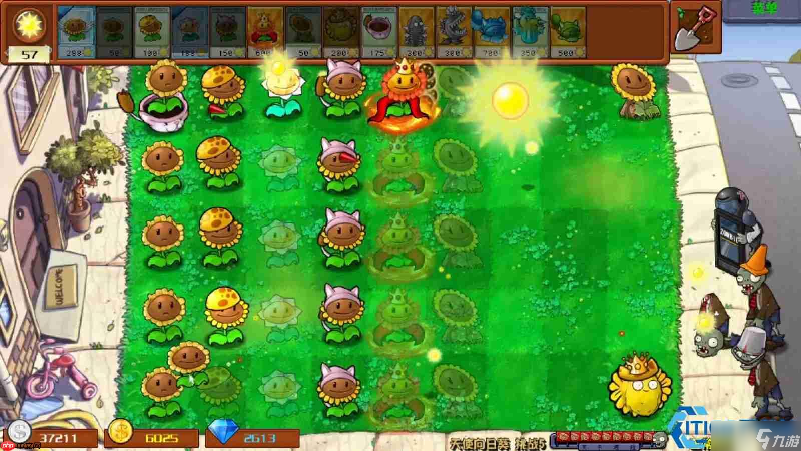 植物大战僵尸防守关卡终极攻略 阳光风暴与坚果堡垒的完美结合