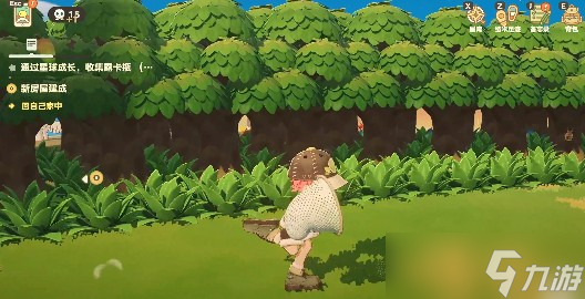 星布谷地抓蝴蝶攻略一览