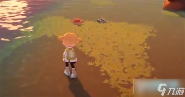 星布谷地螃蟹捕捉指南