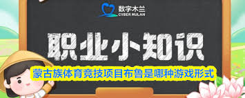 布鲁是哪种游戏形式