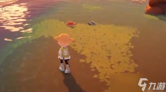 星布谷地螃蟹怎么捕捉