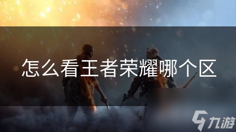 怎么看王者荣耀哪个区
