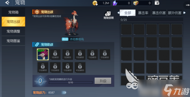 街机恐龙宠物有哪些 街机恐龙宠物养成攻略