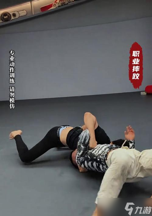 《摔跤霸王》操作指南(学会这些基本操作)