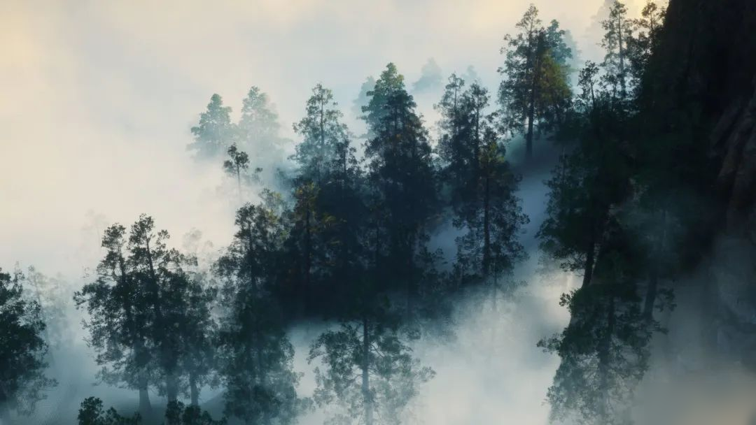 侠影众声集丨山巅云海，共奏新章