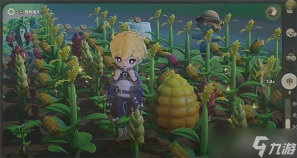 星布谷地变异果实怎么获取 变异果实获取攻略