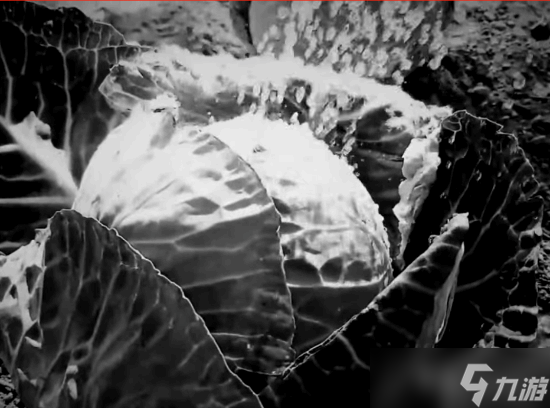 恐怖游戏被Steam禁售 开发者称没有给出任何解释