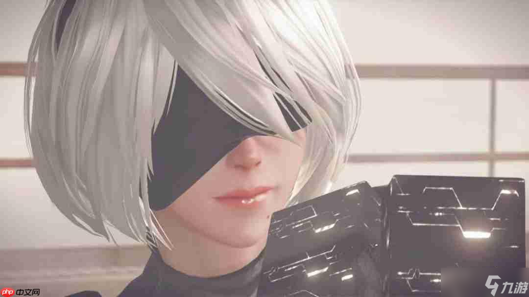 告别卡顿 《尼尔 机械纪元》Switch2兼容问题被修复