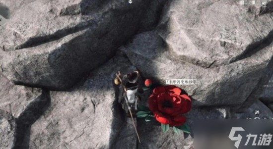 《燕云十六声》花魁任务教程的分享展示