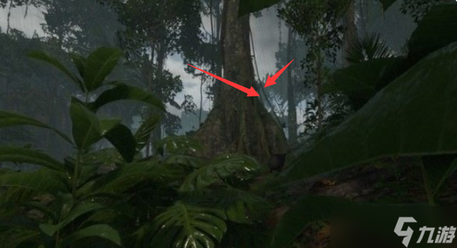 《绿色地狱》死藤水合成方法