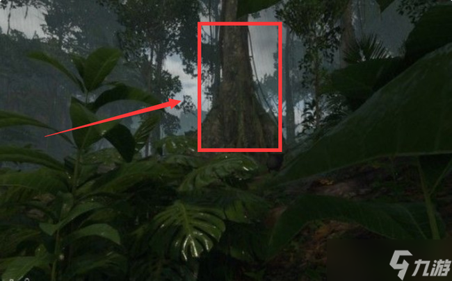 《绿色地狱》死藤水合成方法