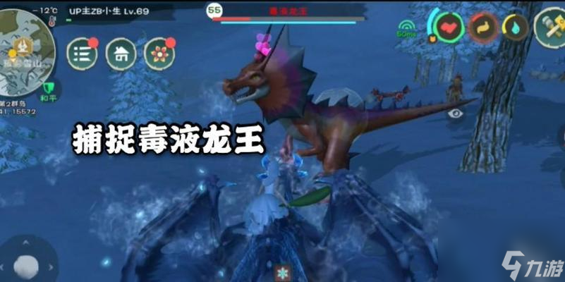 《创造与魔法毒液龙王战宠》（通过游戏中的创造与魔法系统）