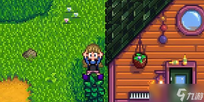 星露谷物语潘姆喜好