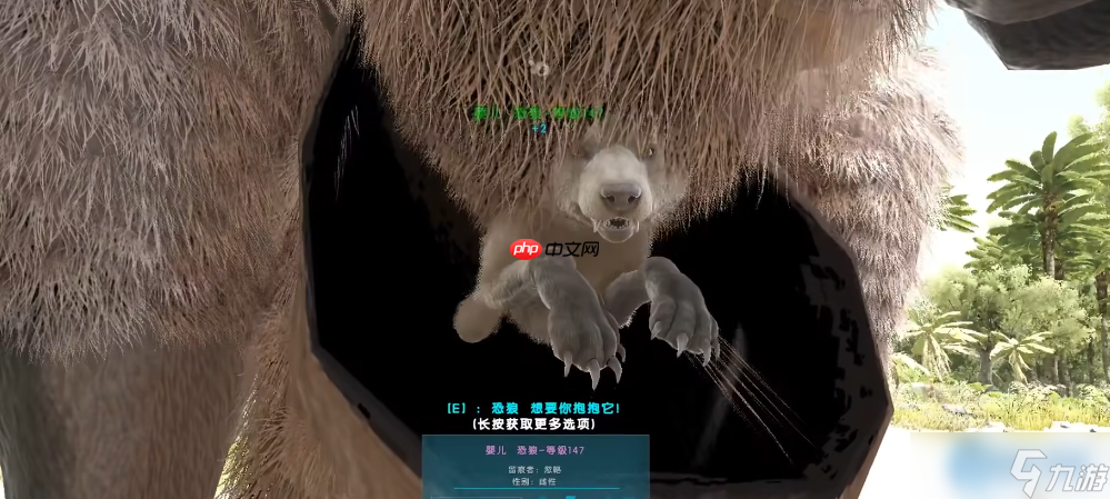 巨型袋鼠全攻略:移动运输与育幼神器