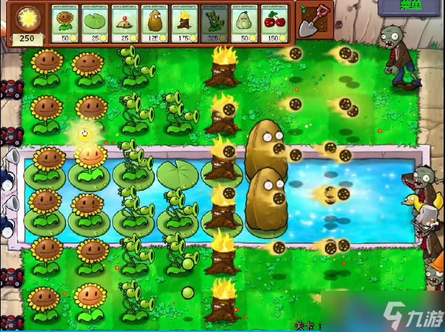 植物大战僵尸关卡通关终极攻略：从开局到后期的完美战术指南