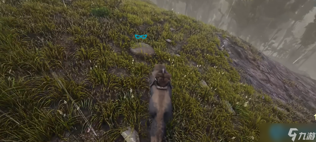 驯服恐狼组建无敌狼群：全面解析实用战斗与探索技巧