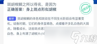 斑胡椒鲷为何得名