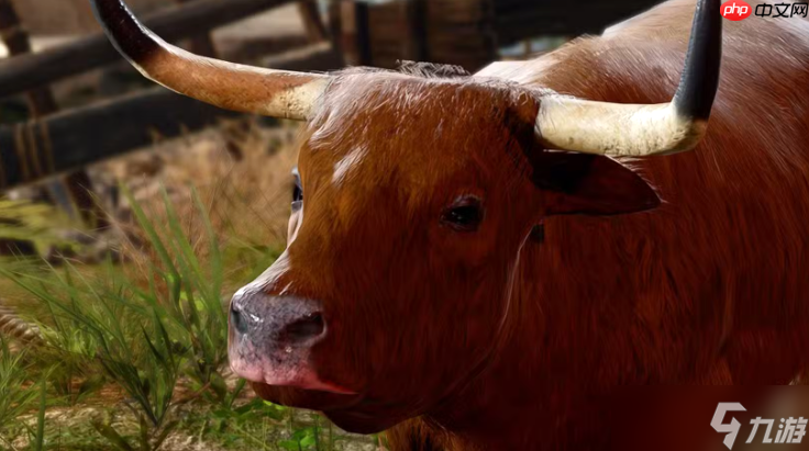 《博德之门3》配音感慨:玩家重视我们 但我们仍被视为外包!