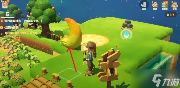 星布谷地中徘徊螳螂的捕捉方式