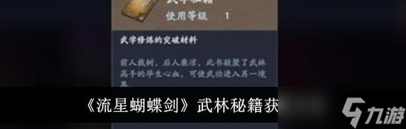 流星蝴蝶剑组队方法是什么?如何在流星蝴蝶剑中组队?