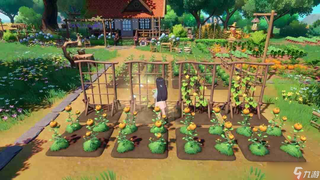 《星砂岛》宣布明年同步推出Switch2版 并提供性能与画质两种模式