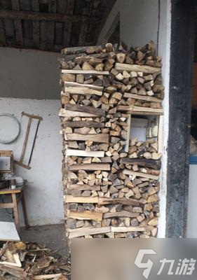 柴堆（了解柴堆游戏中所有结局触发条件及其影响）