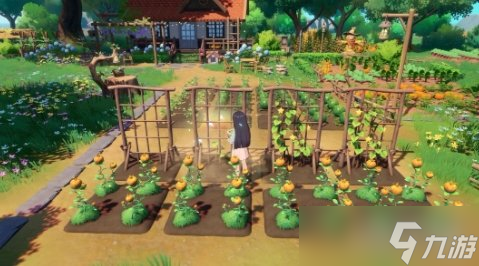 《星砂岛》官宣明年将同步推出Switch 2版本