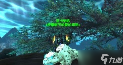 联盟猎人如何捕捉乌龟宠物?最佳地点在哪里?