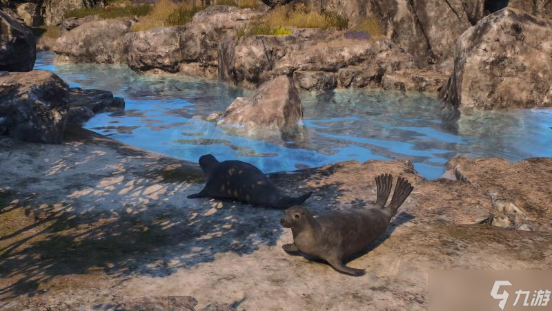 《颂钟长鸣》重大更新内容公布:10KM²“哈尔马尔群岛”实机正式曝光