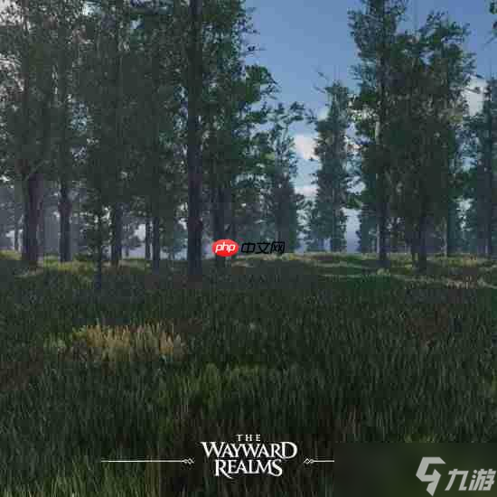 《上古卷轴》精神续作《The Wayward Realms》放弃虚幻5！采用更优秀的自研引擎