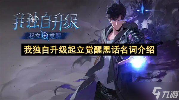 我独自升级起立觉醒黑话名词介绍