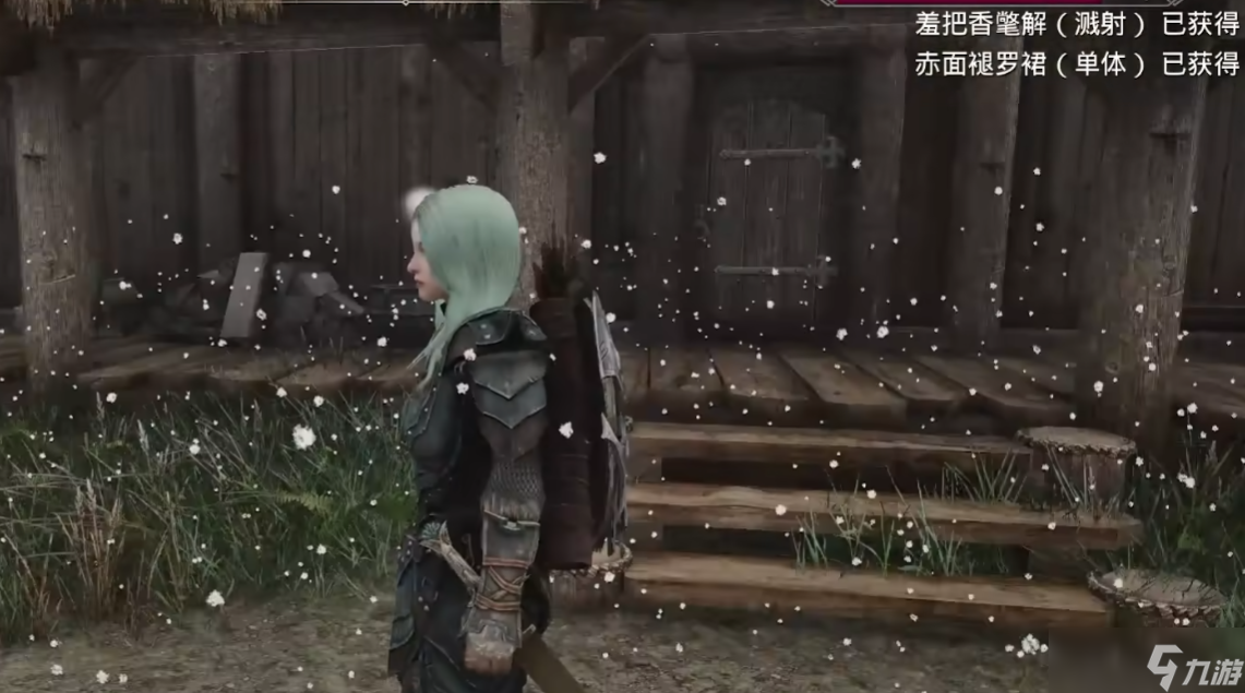 上古卷轴5闪退什么原因 上古卷轴5闪退怎么解决截图