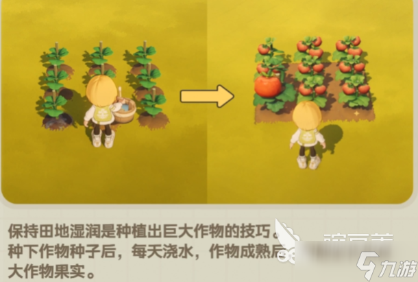 星布谷地烹饪技巧 星布谷地烹饪玩法攻略