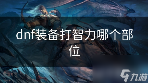dnf装备打智力哪个部位