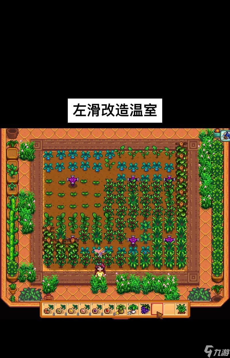 《星露谷物语》温室布局攻略 打造完美温室 
