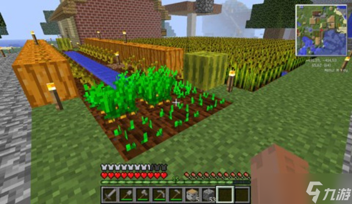 我的世界魔豆怎么种 从暮色森林到自动化农场的完整种植指南