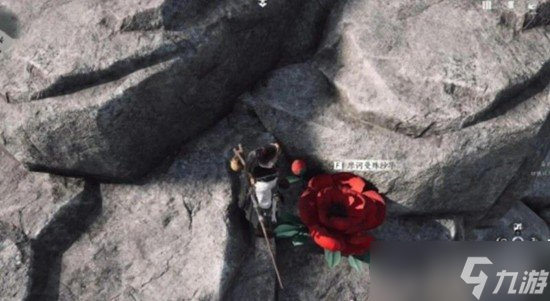 燕云十六声花魁任务怎么过 花魁任务流程攻略