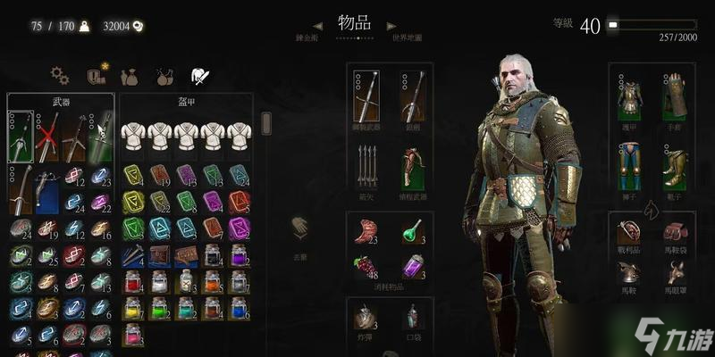 《巫师3》次世代版 全新版本为玩家带来的狮鹫法印流玩法和技巧 