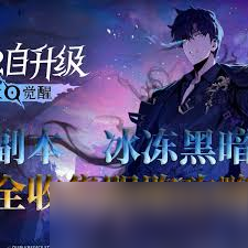 我独自升级如何全收集起立·觉醒冰冻黑暗物品