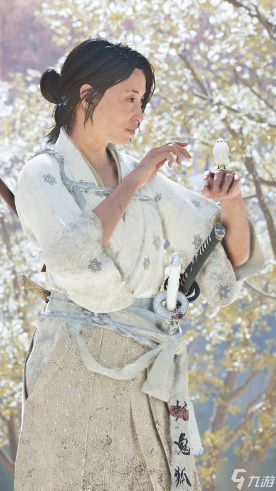 PS分享《羊蹄山》游戏摄影!极致光影展现北海道之旅