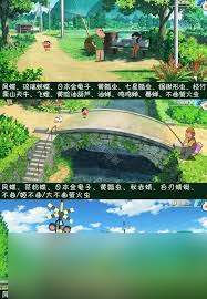 蜡笔小新煤炭镇的小白昆虫在哪截图