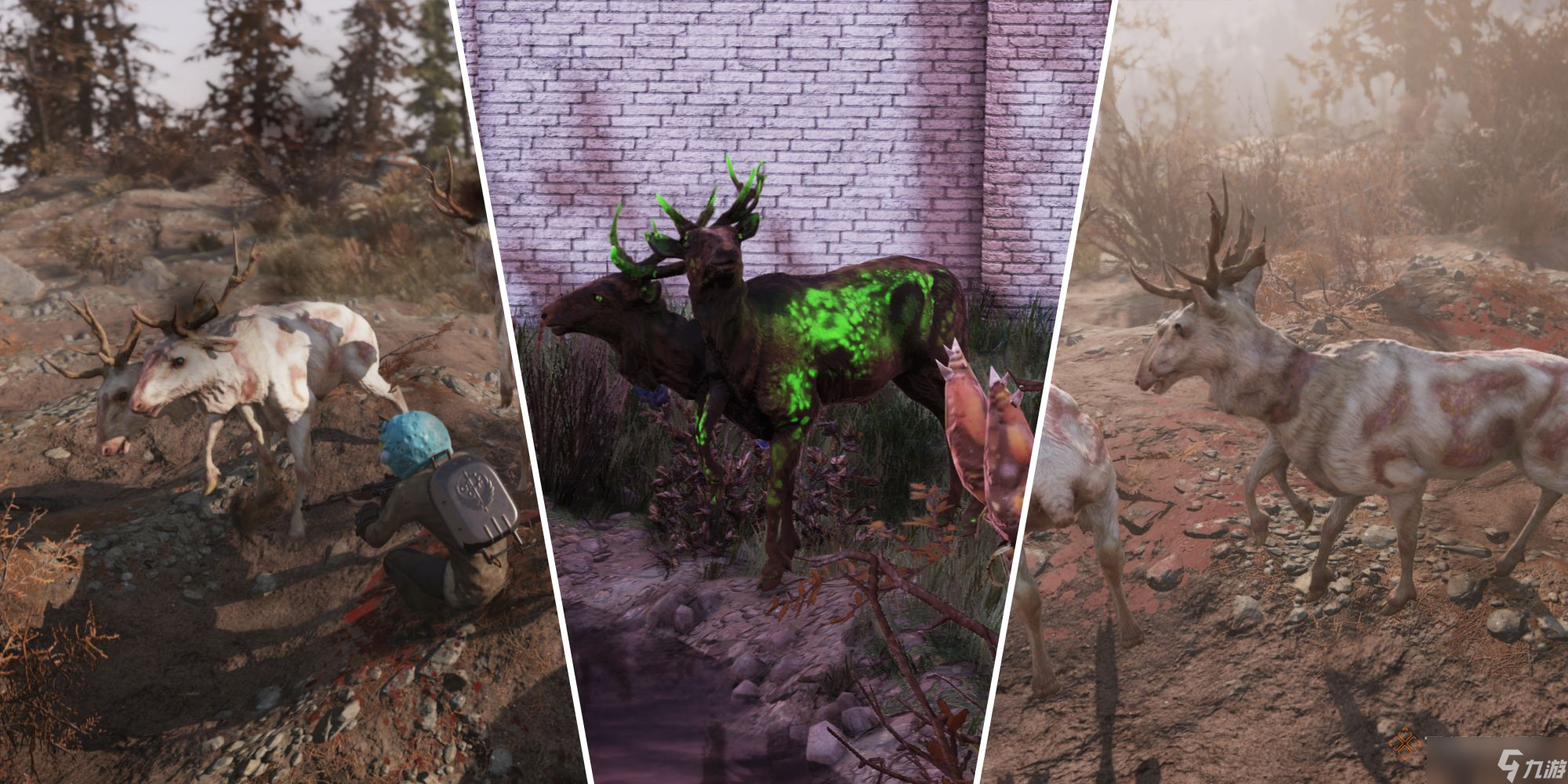 如何在《辐射76》中快速完成“力量与统治力测试”：燃烧之泉