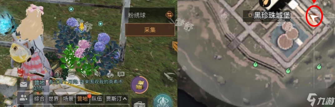 明日之后9种鲜花采集获取的具体位置坐标