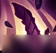 《云顶之弈》s16雷克塞英雄图鉴