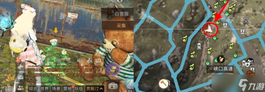 明日之后9种鲜花采集获取的具体位置坐标