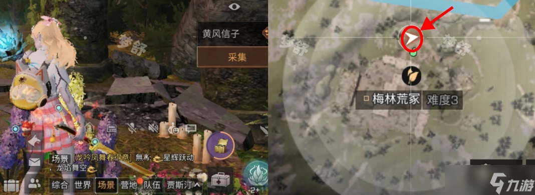 明日之后9种鲜花采集获取的具体位置坐标