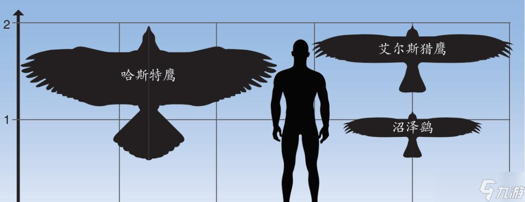 鹰身人出现的具体在哪里 怎么高效捕捉