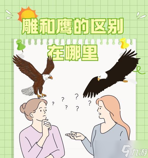 鹰身人出现的具体在哪里 怎么高效捕捉