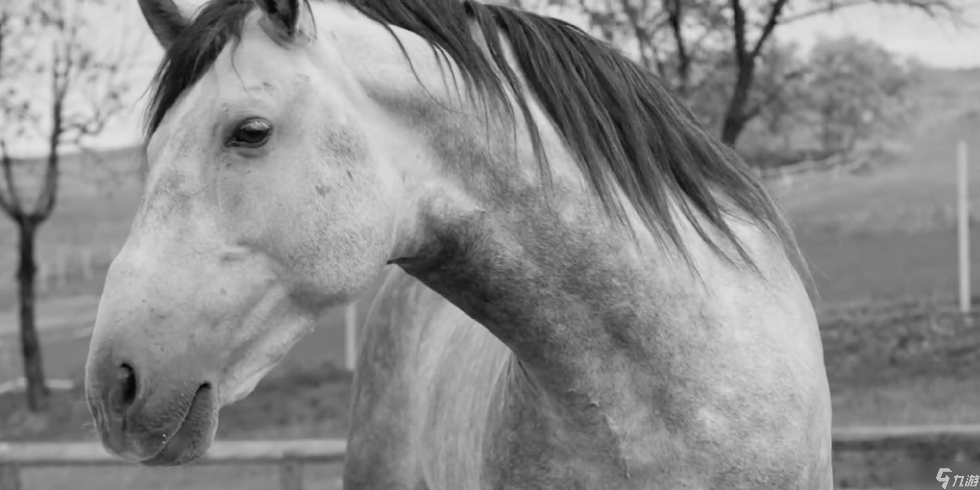 《棕色尘埃2》因内容不当被Steam下架